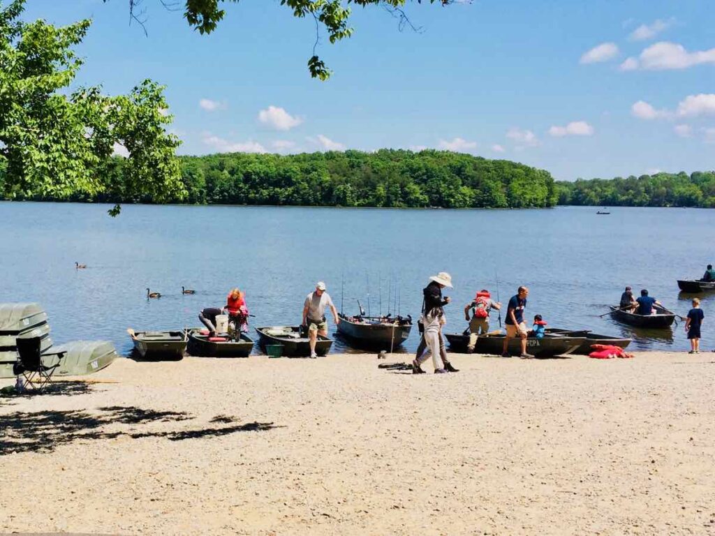 Busy Marina on Father's Day at Burke Lake Park VA