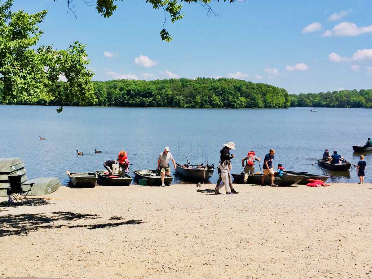 Busy Marina on Father's Day at Burke Lake Park VA