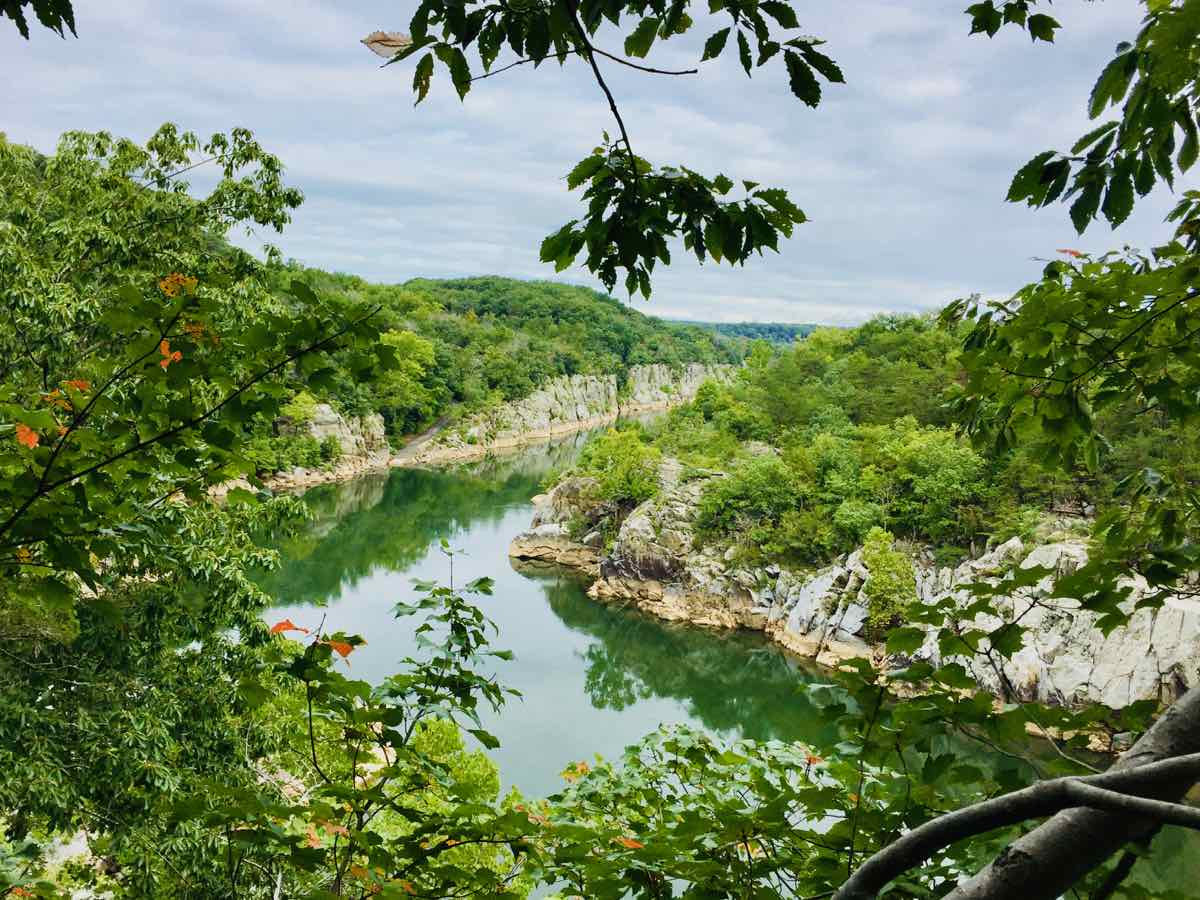 View of Mather Gorge from Great Falls Ridge Trail in Northern Virginia