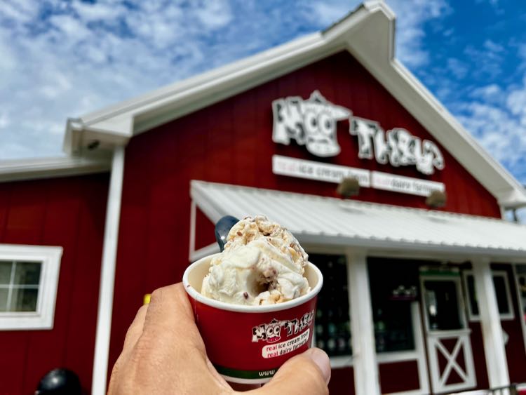 Moo Thru Ice Cream Shop in Remington VA