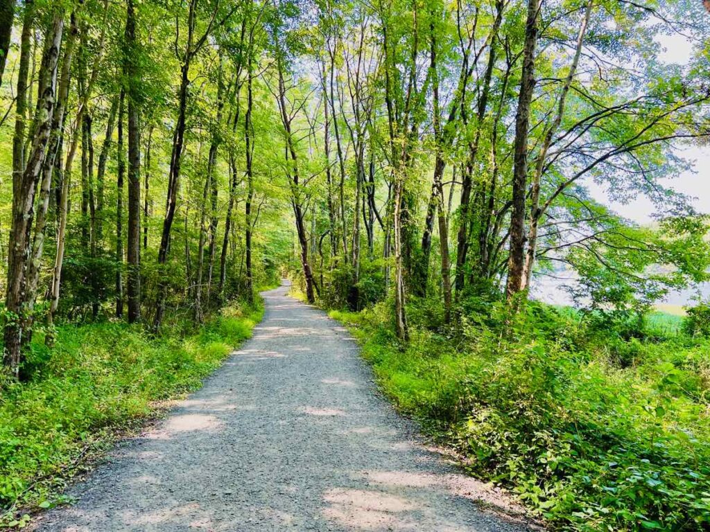 Shady Lakeside Trails are Perfect for Summer Hikes at Burke Lake Park VA