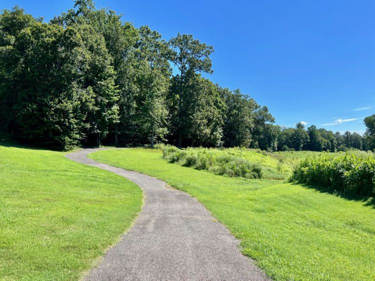 Scenic Blooms Park Trails in Manassas Park Virginia