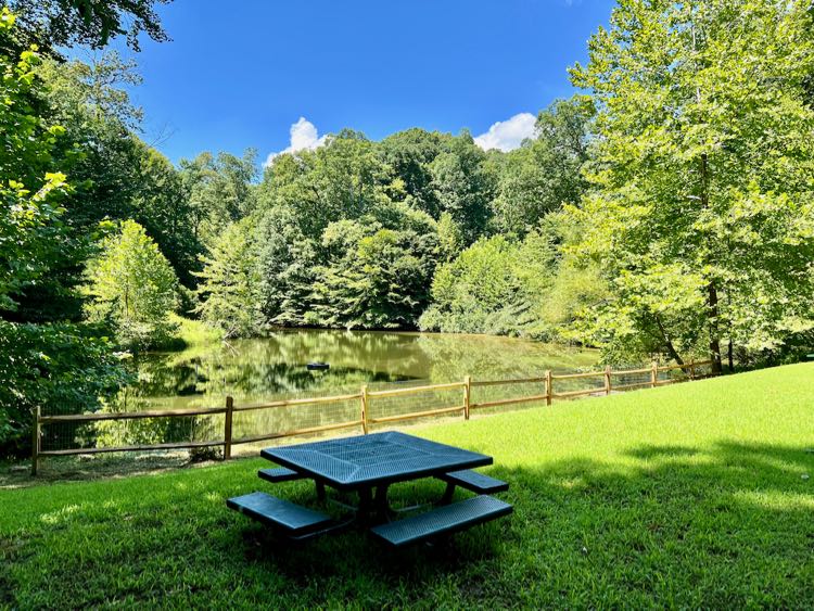 Pond and picnic table at Blooms Park