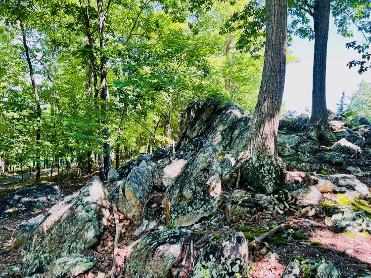 Rocky area by the Yellow Trail in Blooms Park