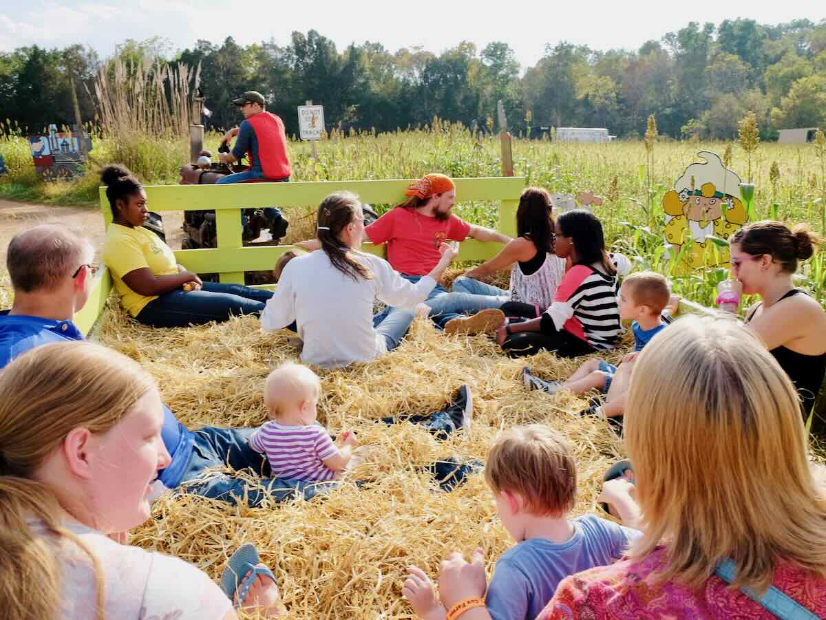 Cox Farms Wagon Ride, One of the Best Fall Festival in Northern Virginia, Photo Credit Charlotte Geary