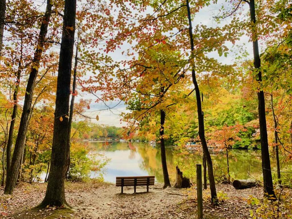 Colorful fall foliage surrounds a bench at Lake Audubon in Reston Virginia