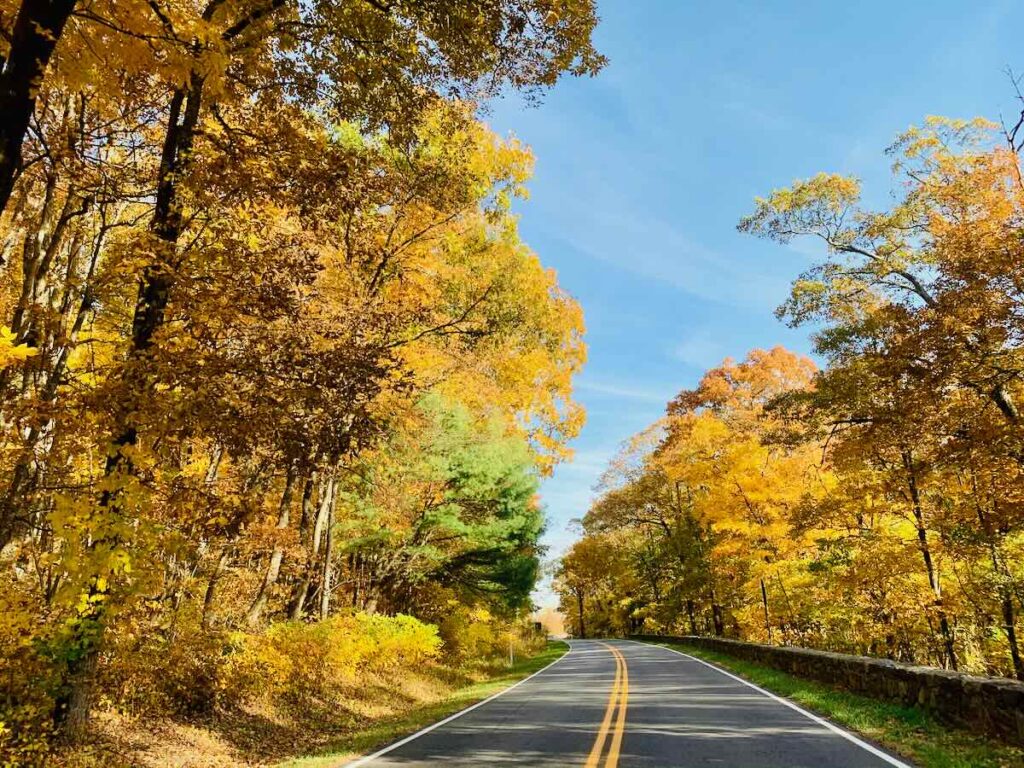 Late October Fall Foliage on Skyline Drive in Shenandoah National Park Virginia