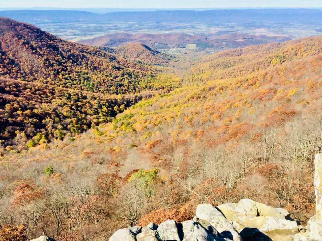 Fall Foliage View from Crescent Rock on Skyline Drive in Shenandoah National Park