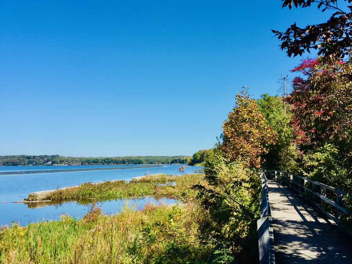 Bay View Trail Fall Hike in Mason Neck State Park