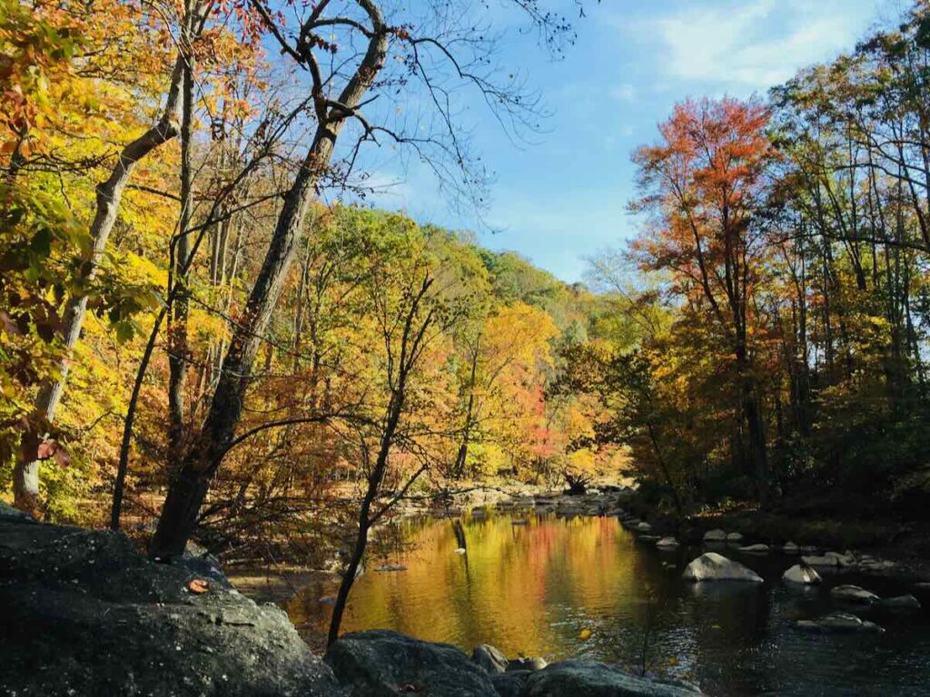 Colorful Fall Foliage on the Difficult Run Trail in Northern Virginia