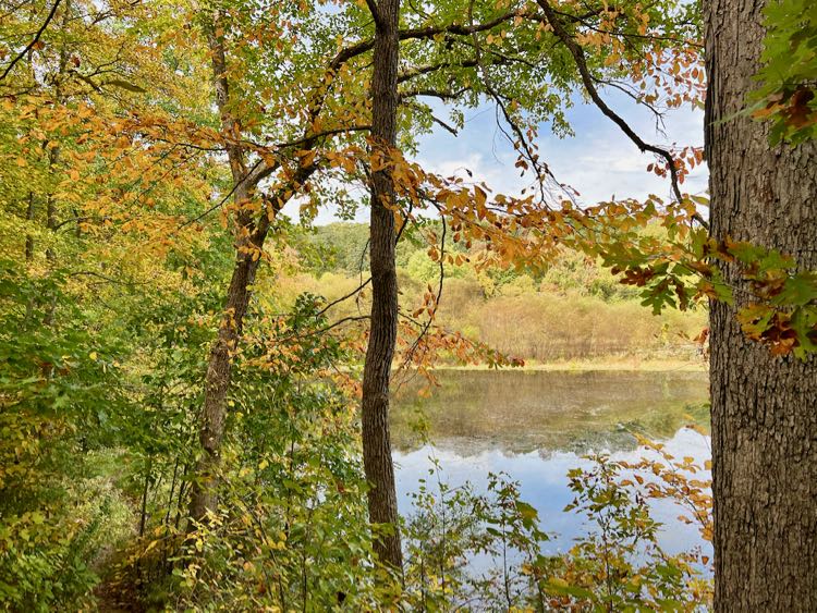 Fall Foliage in Northern Virginia at Lake Fairfax, Reston VA