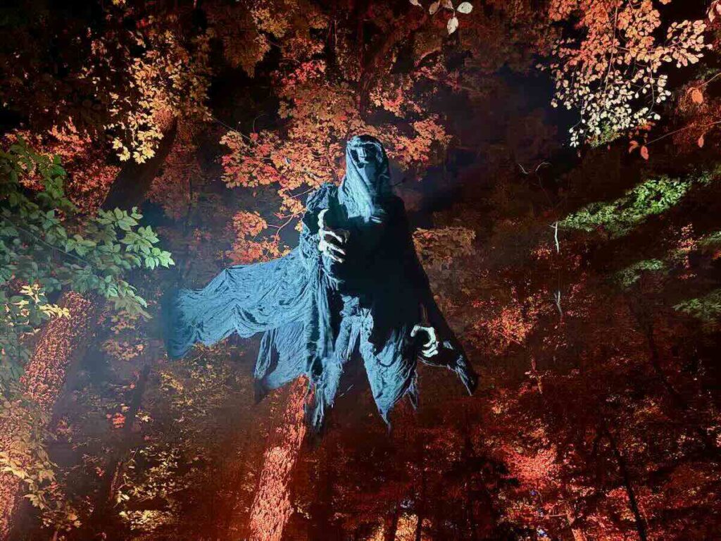 Harry Potter Forbidden Forest Dementor