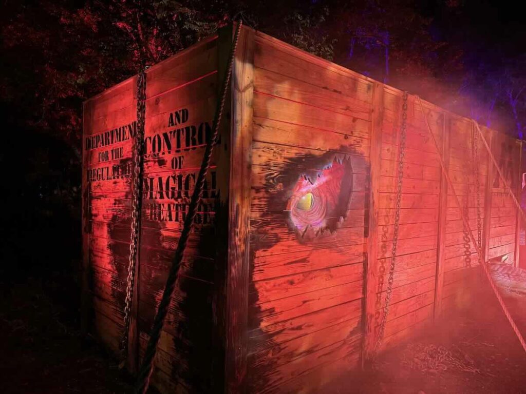 Harry Potter Forbidden Forest Dragon