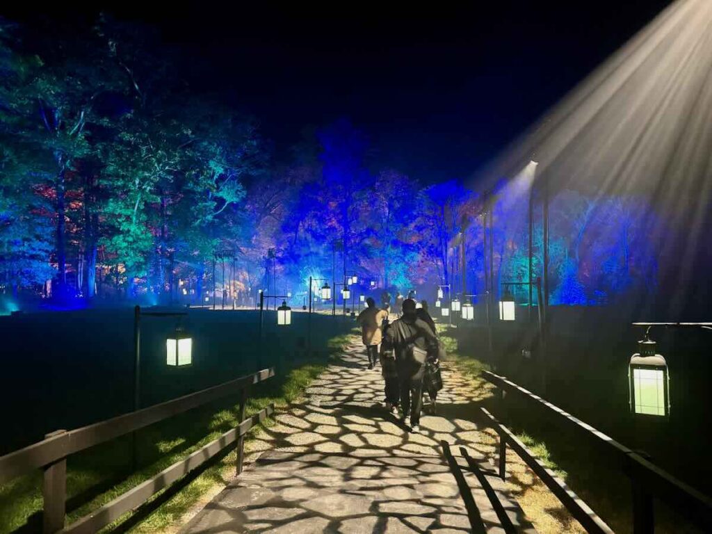 2024 Harry Potter Forbidden Forest Entrance in Leesburg VA