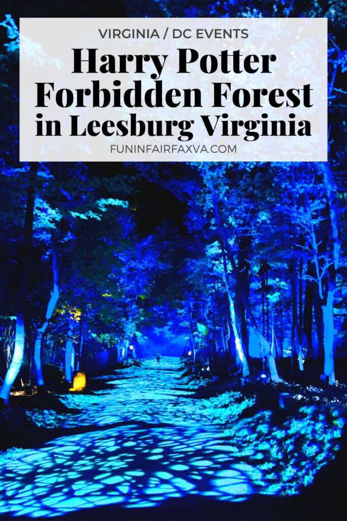 Enter the magical Harry Potter Forbidden Forest Experience in Leesburg Virginia and immerse yourself in a world of fantastical creatures and dazzling lights.