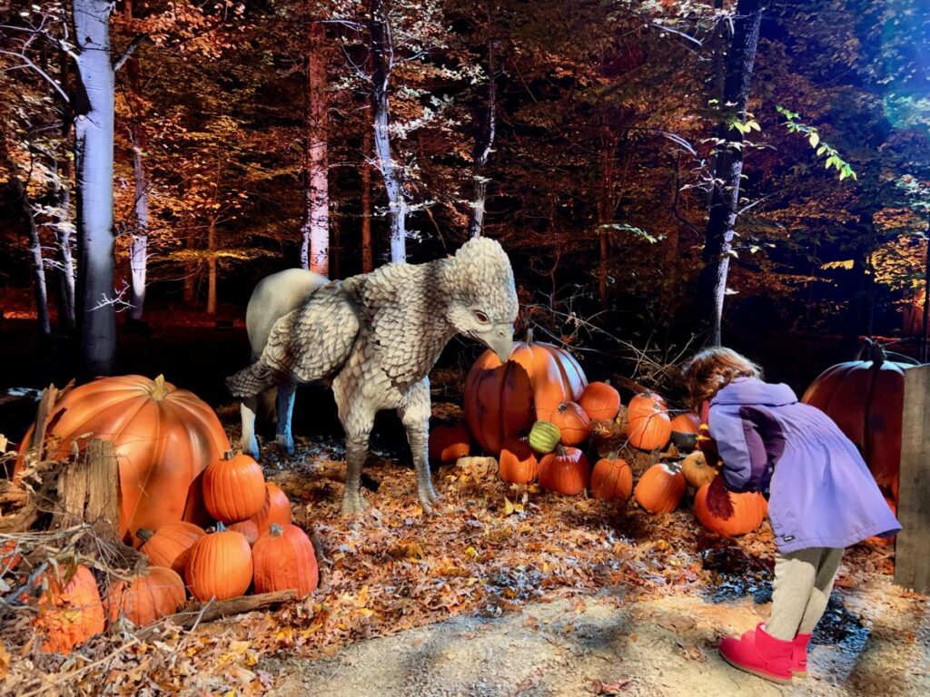 Greeting the interactive Hippogriff at Harry Potter Forbidden Forest Leesburg VA