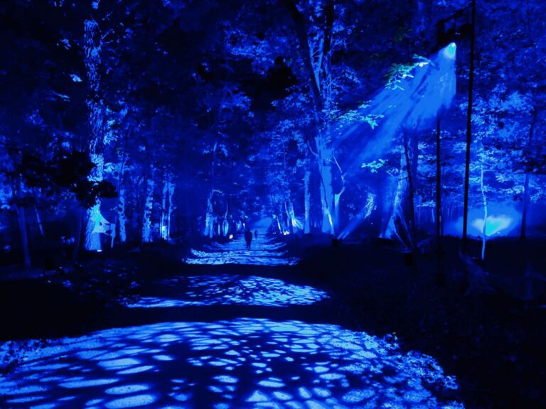 A Magical Harry Potter Forbidden Forest Comes to Leesburg VA