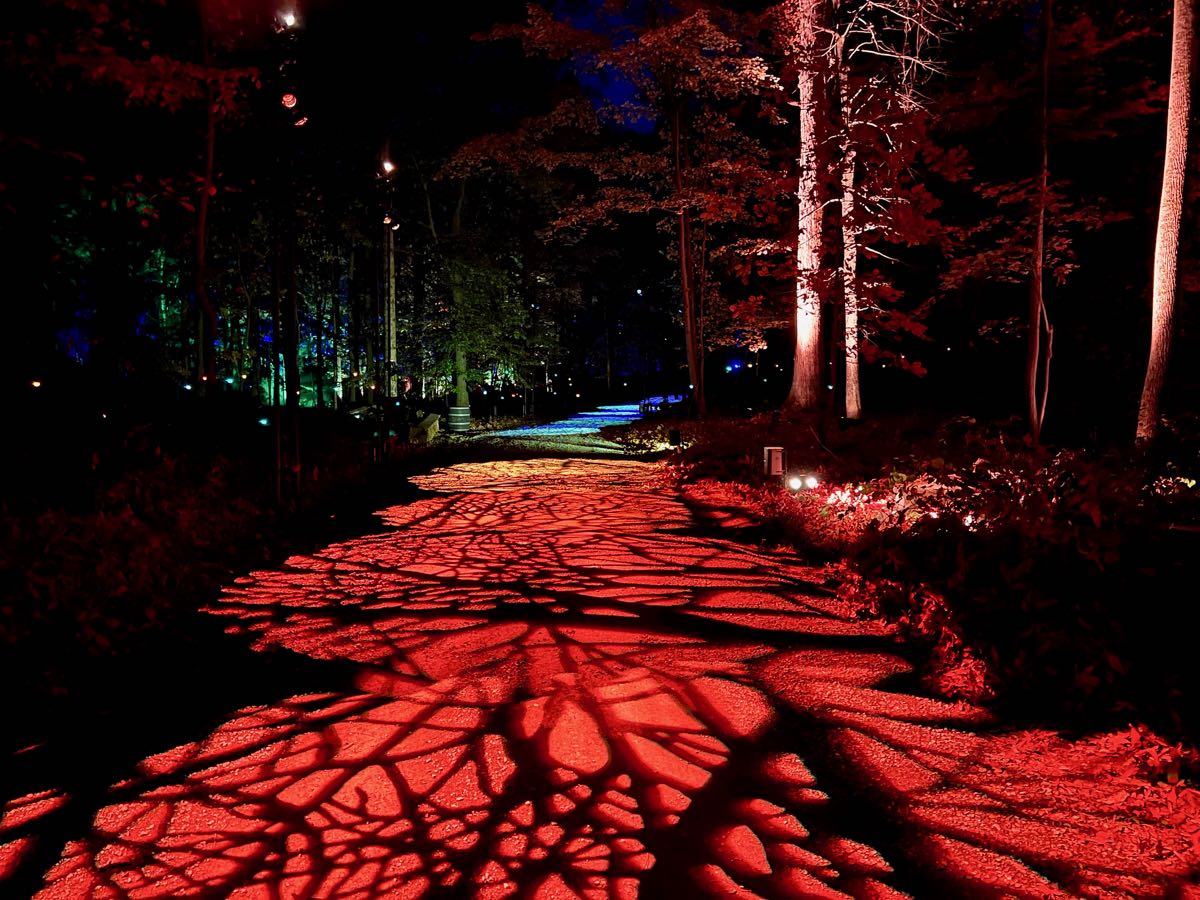 A Magical Harry Potter Forbidden Forest Comes to Leesburg VA