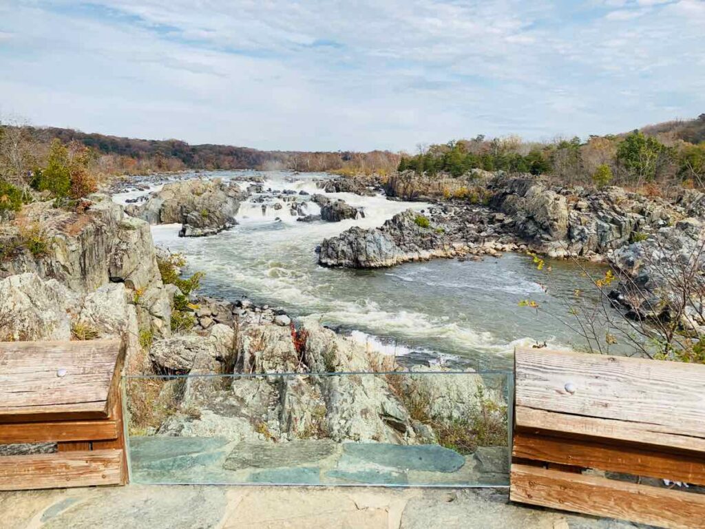 The view from Overlook 3 at Great Falls Park in November