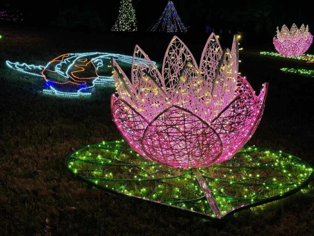 Lotus Pond and Giant Koi Meadowlark Winter Walk of Lights