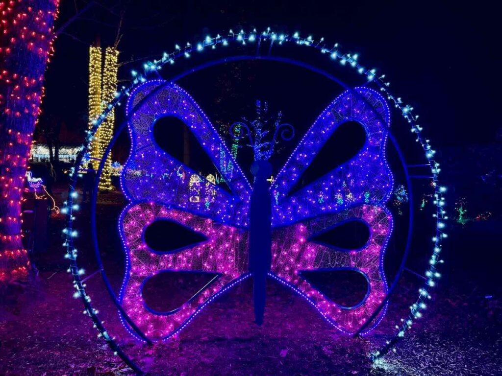 Meadowlark Lights Butterfly Photo Spot