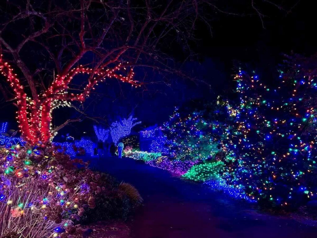Meadowlark Lights Pathway