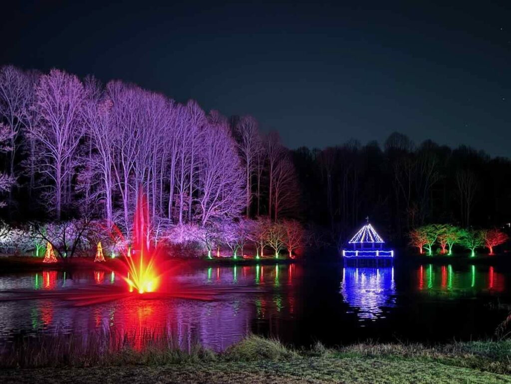 Meadowlark Lights Pond