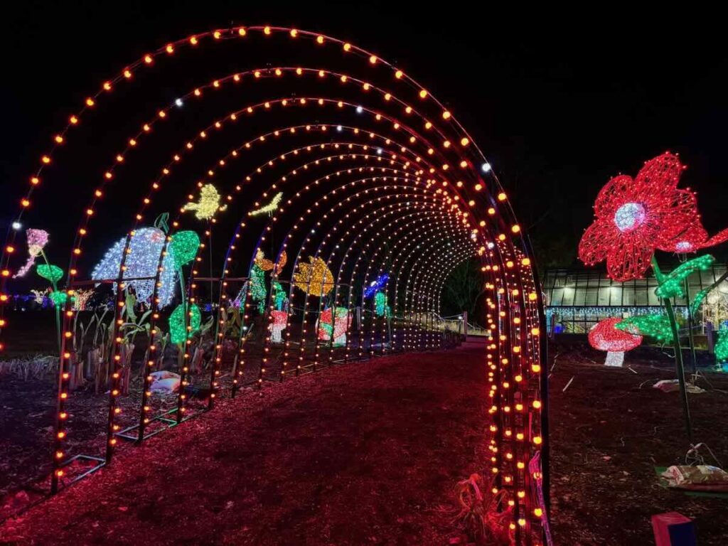 Meadowlark Lights Tunnel and Flowers