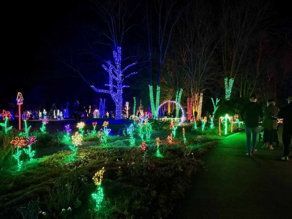 Meadowlark Winter Walk of Lights Path