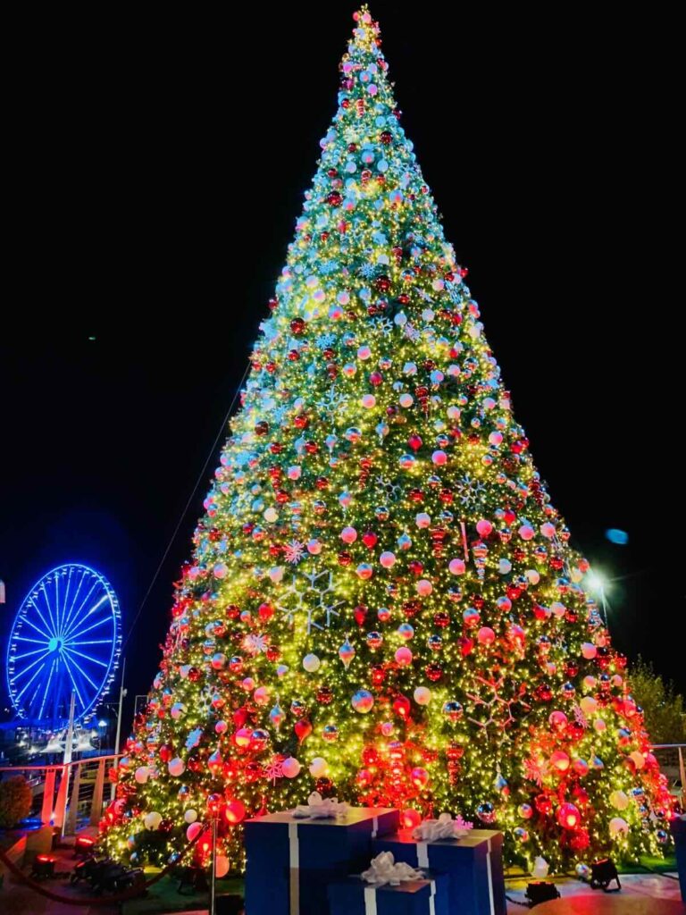 National Harbor Christmas Tree and Capital Wheel at night