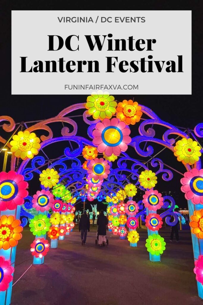 Colorful Flower Tunnel at the New DC Winter Lantern Festival in Northern Virginia.