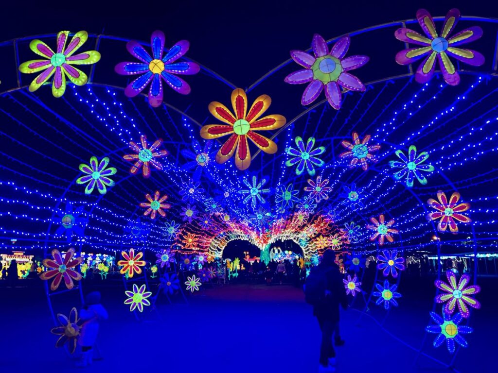 New DC Winter Lantern Festival Lights Up Northern Virginia