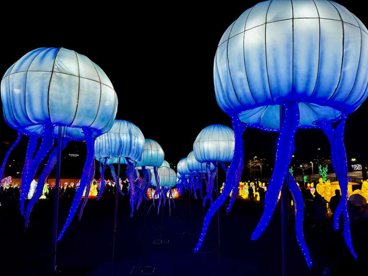 Beautiful 2023 DC Winter Lantern Festival in Northern Virginia