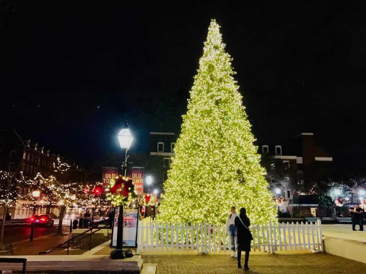 Old Town Alexandria Christmas Tree