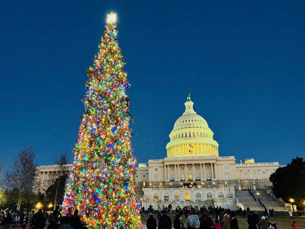 US Capitol Christmas Tree Washington DC