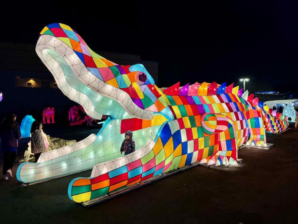 Colorful Walk-thru Alligator Lantern at the 2023 DC Lantern Festival in Tysons Virginia