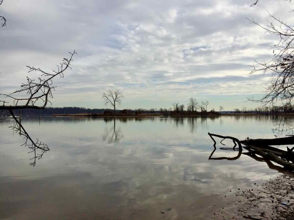 Dyke Marsh Wildlife Preserve in Winter