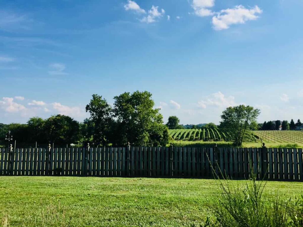 8 Chains Winery View  in Northern Virginia