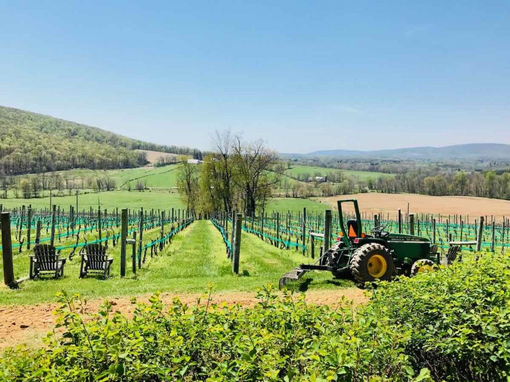 Hillsborough Winery View in Loudoun County Virginia