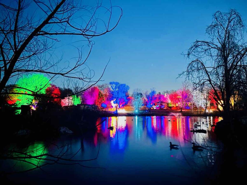 A view of colorful lights from the back of the pond at the NOVA Wild Reston Zoo Lights