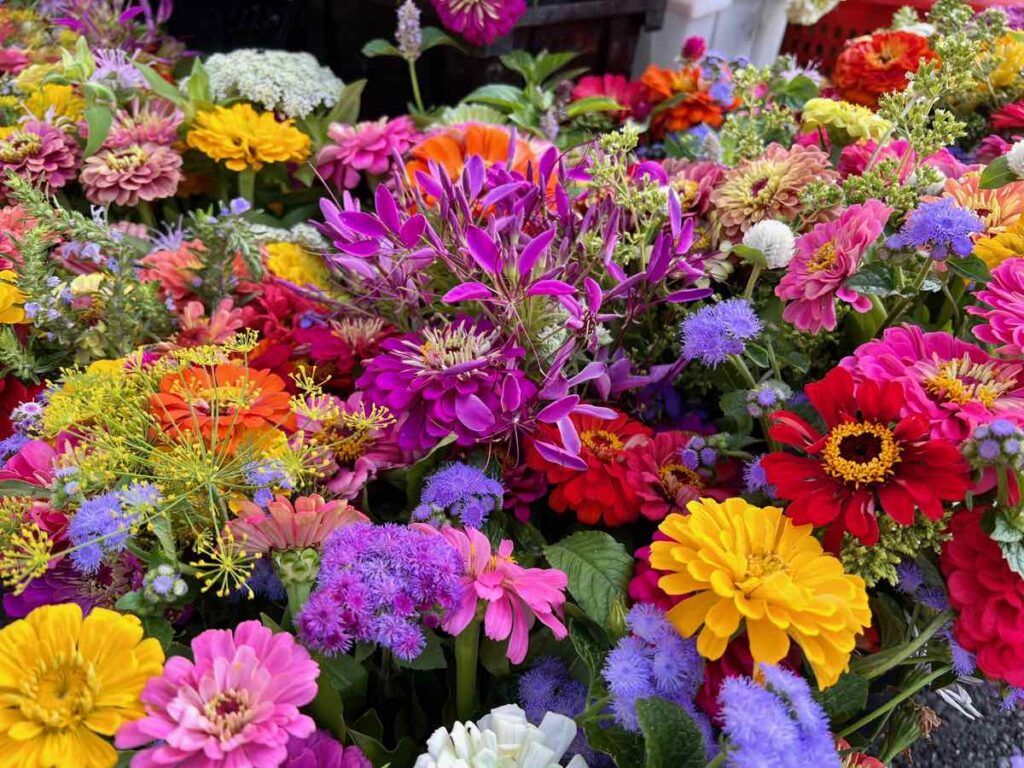 Northern Virginia Farmers Markets Flowers