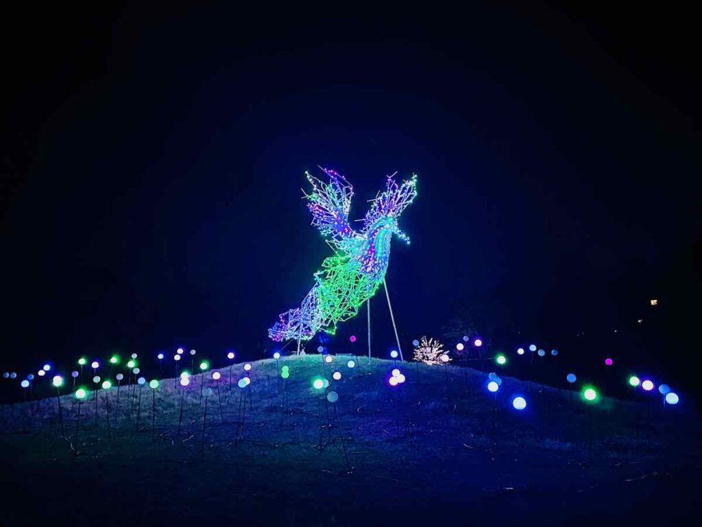 Lighted Peacock and globe display at NOVA Wild Reston Zoo