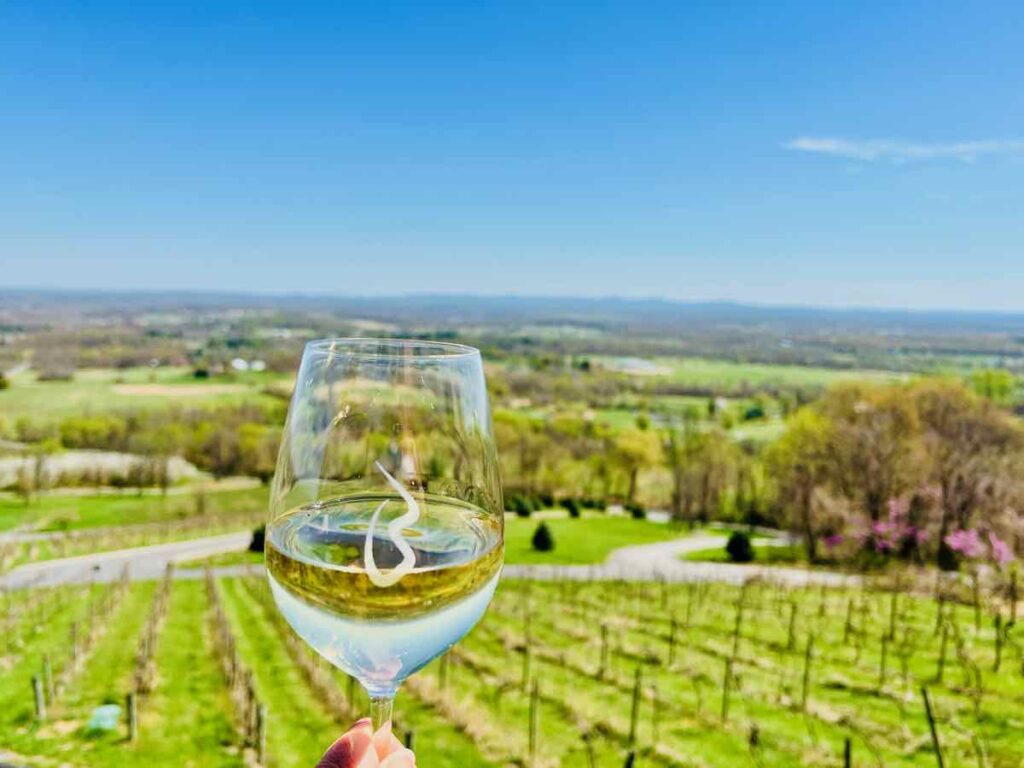 Bluemont Vineyard Winery Views