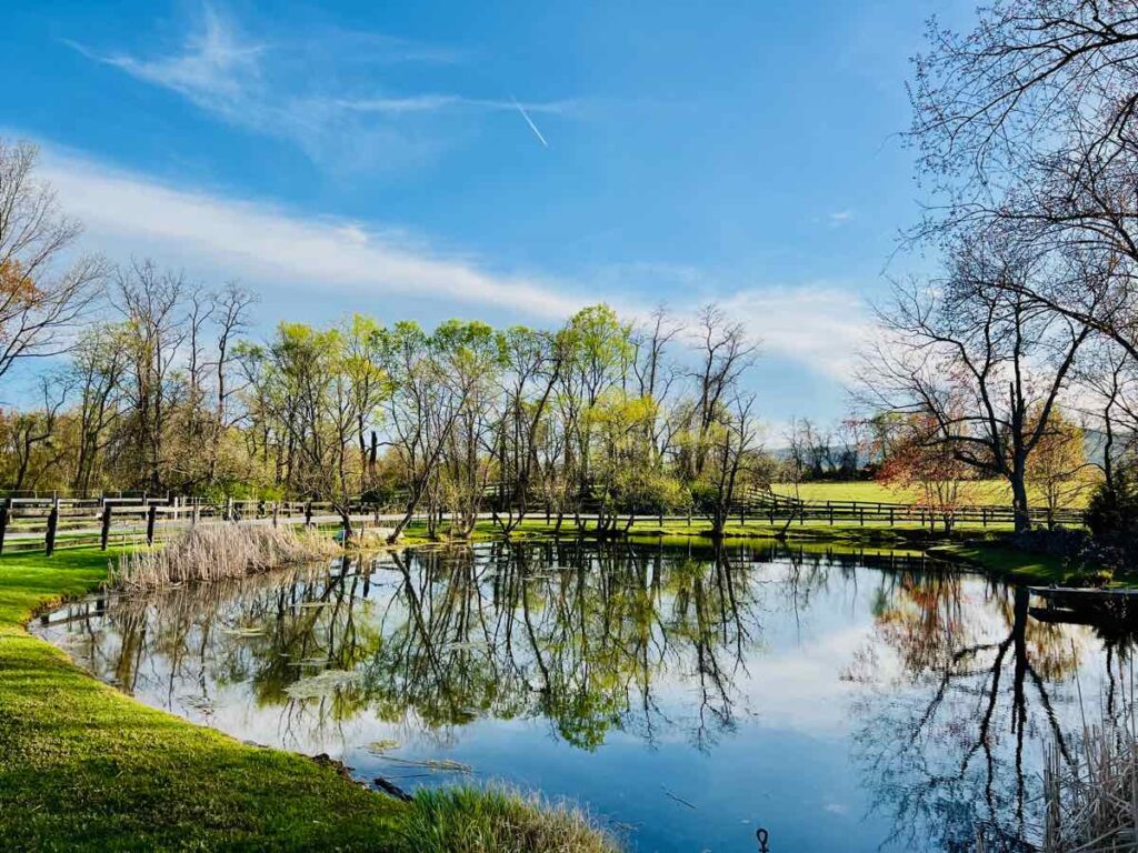 Pond view from a private country road in Bluemont VA