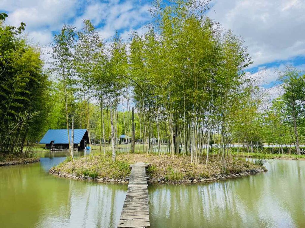 Bamboo Island National Botanic Garden