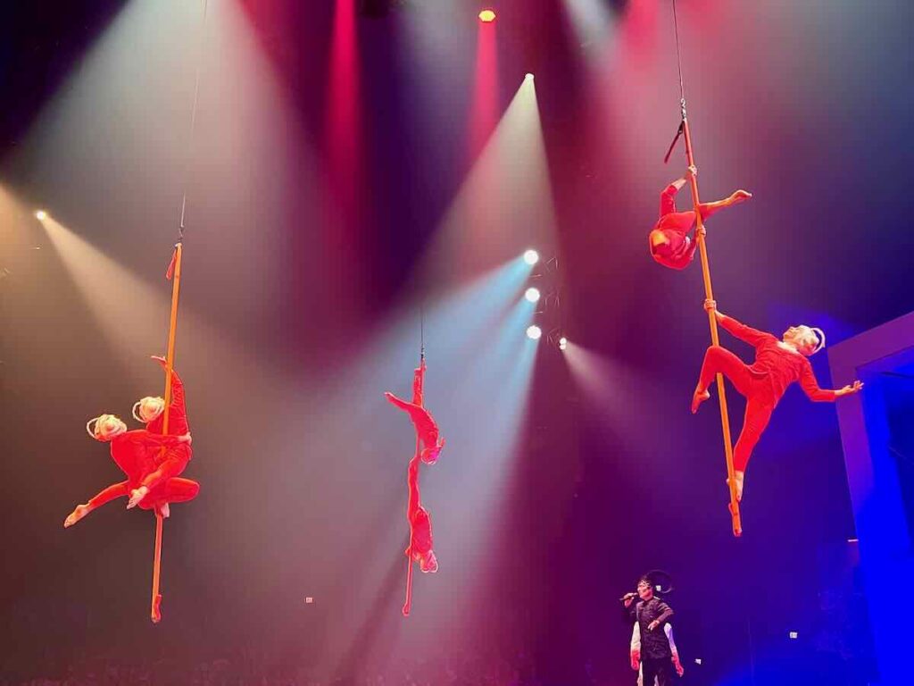 Cirque du Soleil Tysons Pole Aerialists