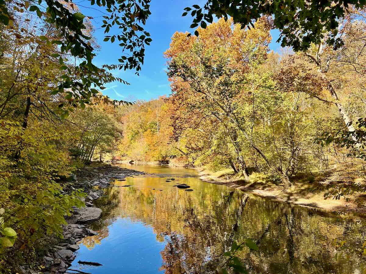 Colorful fall foliage lines the riverbank on the Bull Run Occoquan Trail in Clifton, one of the Best Fall Hikes in Northern Virginia