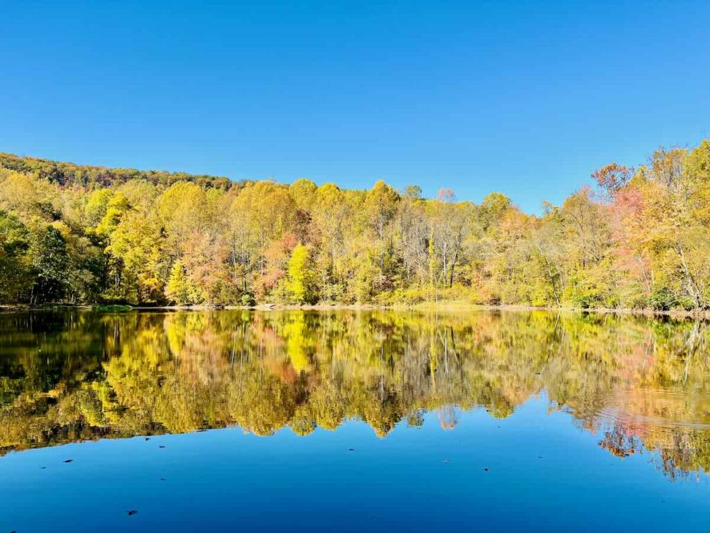 Fall Foliage at Gordon Pond, Sweet Run State Park in Northern Virginia