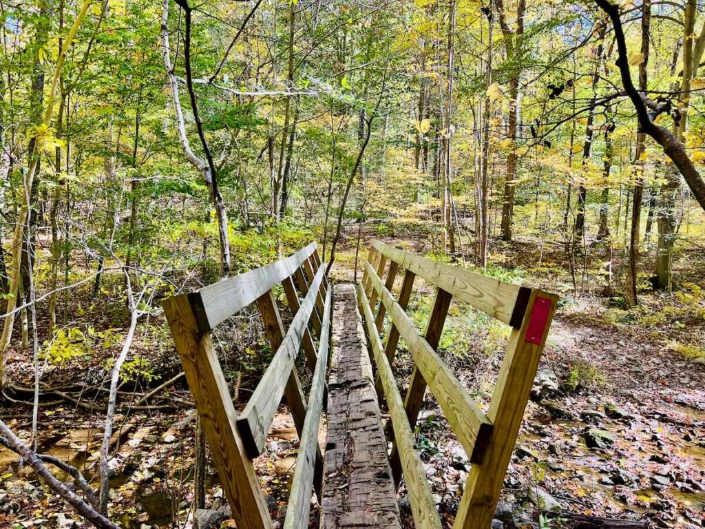 Rustic Bridge Sweet Run State Park