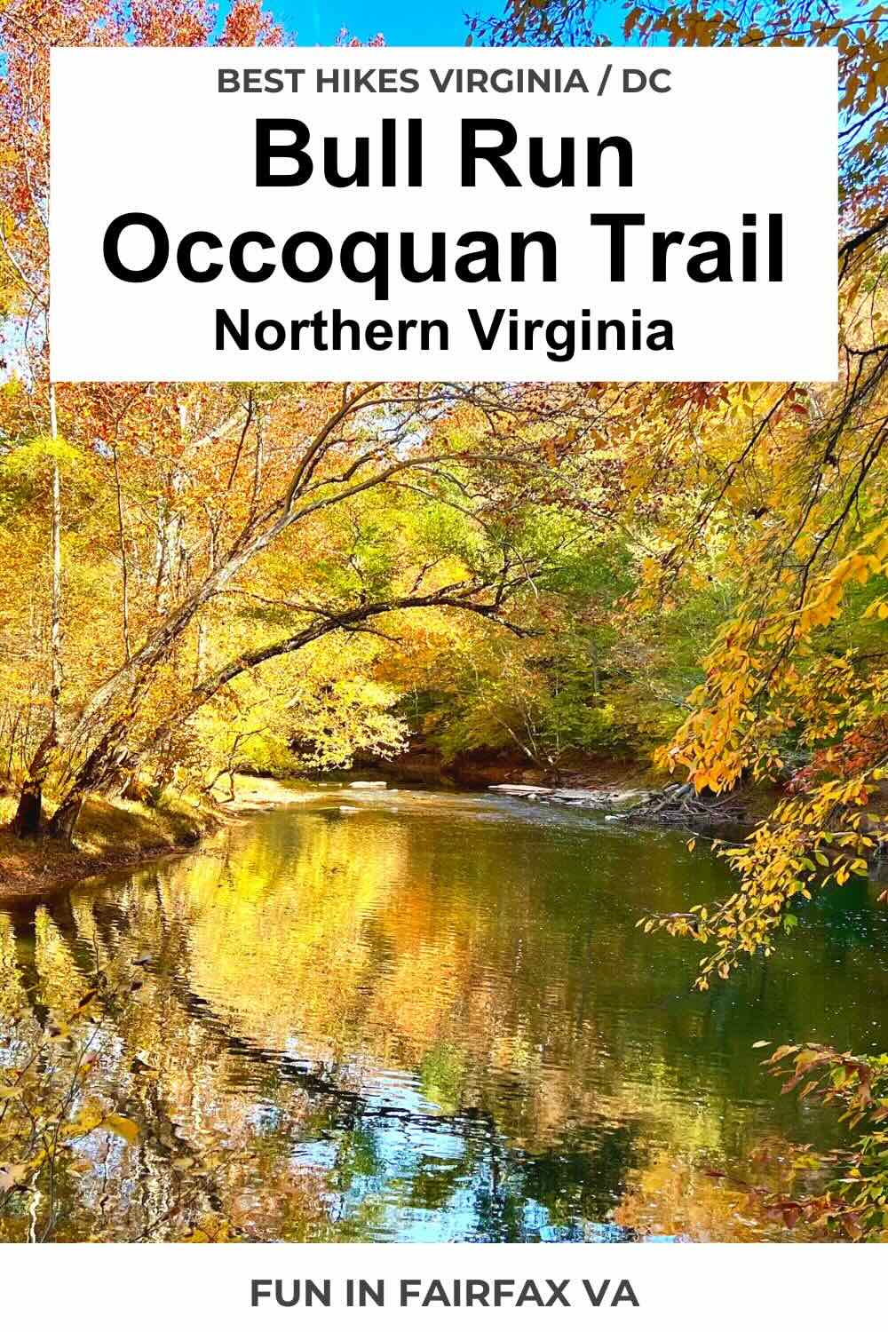 Beautiful Hikes on the Bull Run Occoquan Trail in Clifton VA
